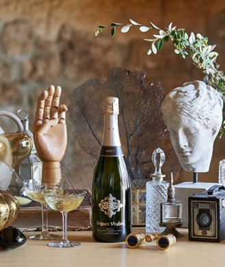 brut contact